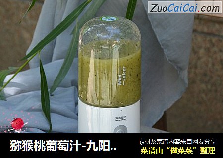 猕猴桃葡萄汁-九阳C902D随行料理机
