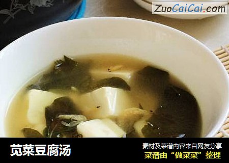 苋菜豆腐湯封面圖