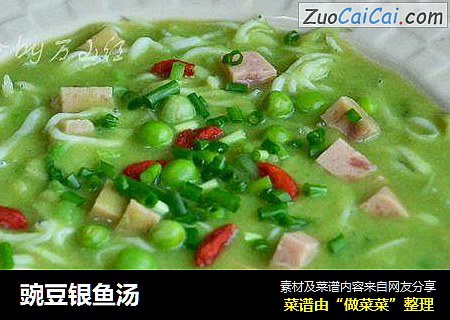 豌豆銀魚湯封面圖