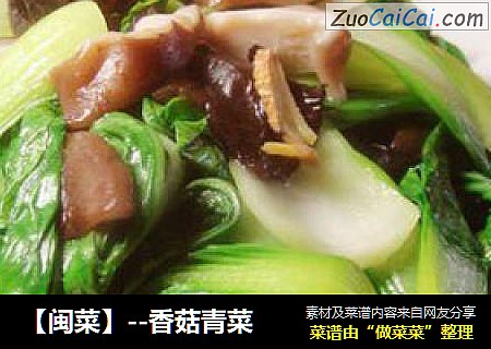 【閩菜】--香菇青菜封面圖