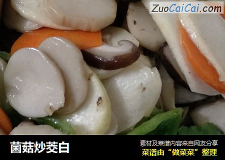 菌菇炒茭白封面圖