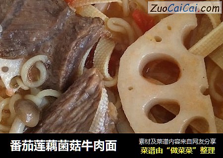 番茄蓮藕菌菇牛肉面封面圖