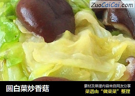 圆白菜炒香菇