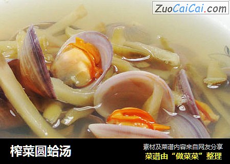 榨菜圓蛤湯封面圖