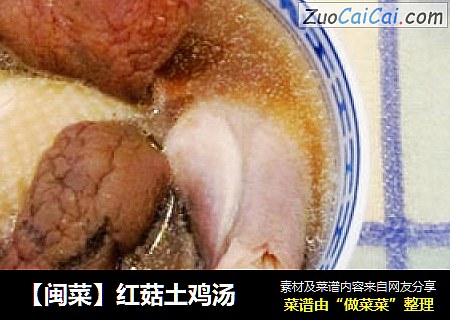 【閩菜】紅菇土雞湯封面圖