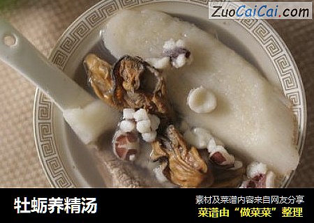 牡蛎養精湯封面圖