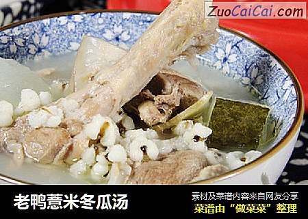 老鸭薏米冬瓜汤