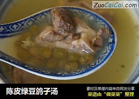 陈皮绿豆鸽子汤