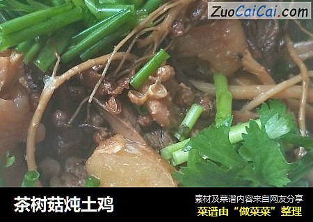 茶树菇炖土鸡