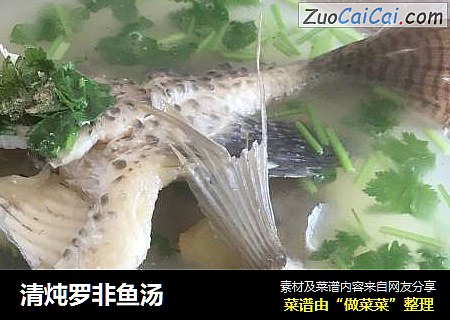 清炖羅非魚湯封面圖