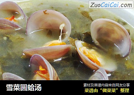 雪菜圓蛤湯封面圖