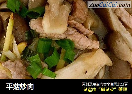 平菇炒肉封面圖