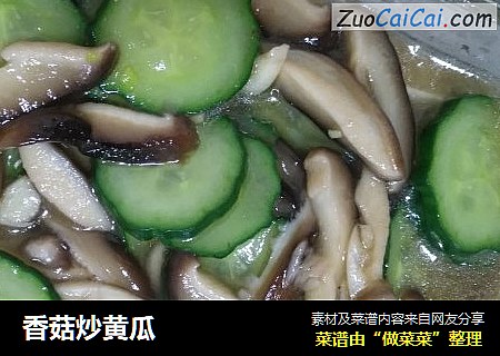 香菇炒黃瓜封面圖