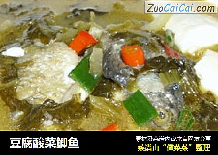 豆腐酸菜鲫鱼