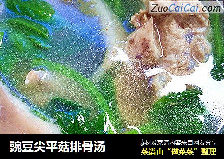 豌豆尖平菇排骨湯封面圖