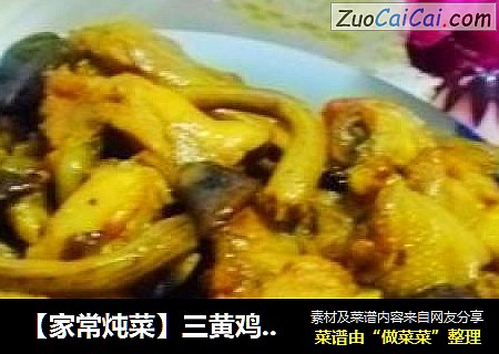 【家常炖菜】三黄鸡炖茶树菇