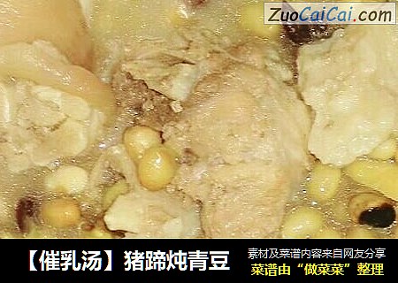 【催乳湯】豬蹄炖青豆封面圖