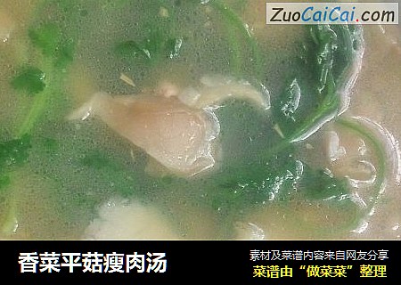 香菜平菇瘦肉湯封面圖