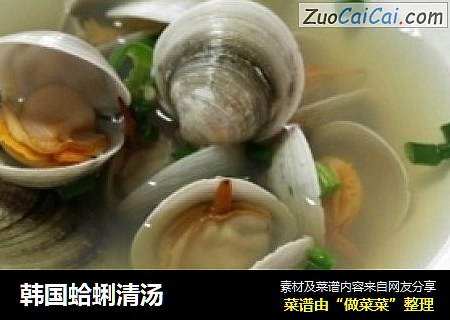 韓國蛤蜊清湯封面圖