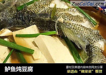 鲈魚炖豆腐封面圖