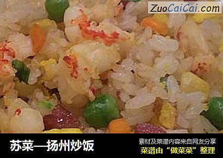 蘇菜—揚州炒飯封面圖