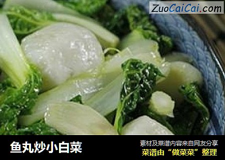 魚丸炒小白菜封面圖