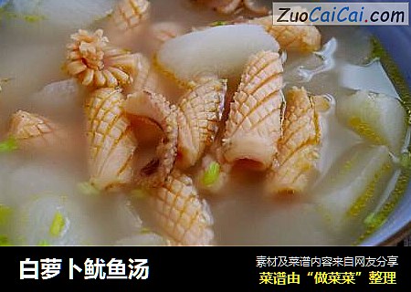 白蘿蔔鱿魚湯封面圖