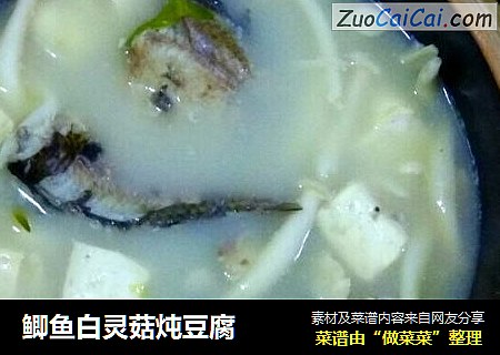 鲫鱼白灵菇炖豆腐