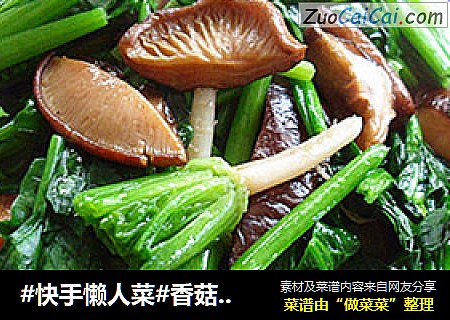 #快手懶人菜#香菇炒菠菜封面圖