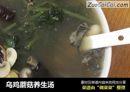 烏雞蘑菇養生湯封面圖