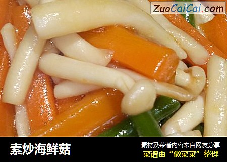 素炒海鮮菇封面圖