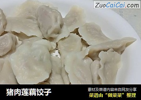猪肉莲藕饺子