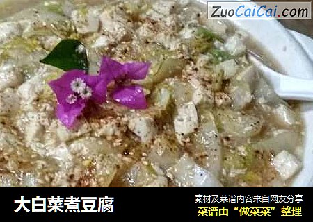 大白菜煮豆腐封面圖