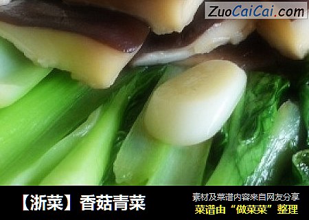 【浙菜】香菇青菜封面圖