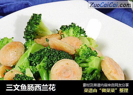 三文魚腸西蘭花封面圖