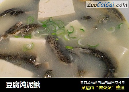 豆腐炖泥鳅封面圖