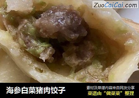 海参白菜猪肉饺子