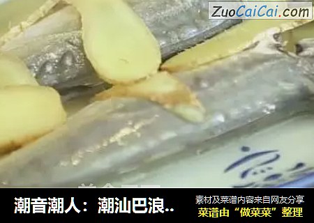 潮音潮人：潮汕巴浪魚飯封面圖