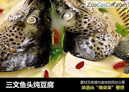 三文魚頭炖豆腐封面圖