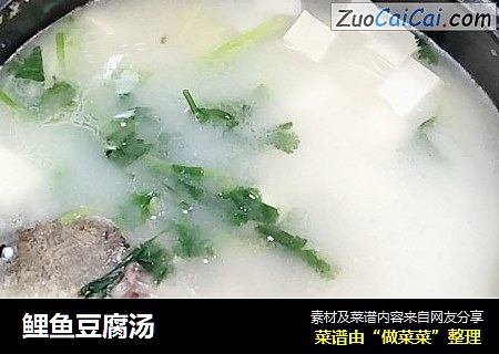 鯉魚豆腐湯封面圖