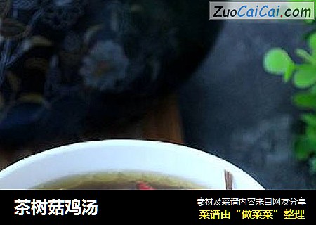 茶樹菇雞湯封面圖