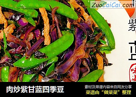 肉炒紫甘蓝四季豆