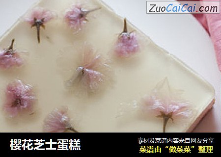 櫻花芝士蛋糕封面圖