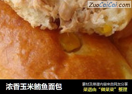 濃香玉米鲔魚面包封面圖