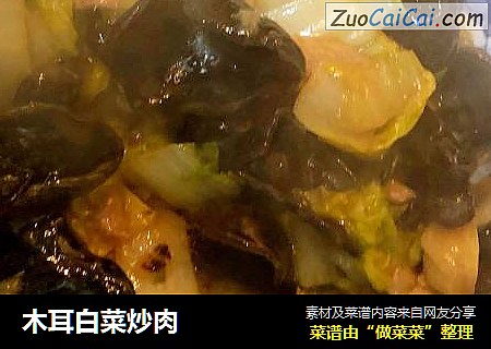 木耳白菜炒肉封面圖