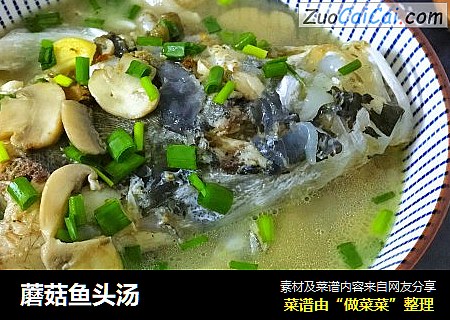 蘑菇鱼头汤