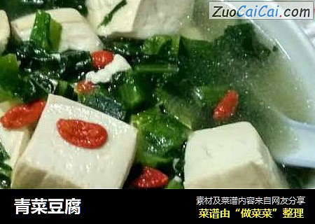 青菜豆腐封面圖