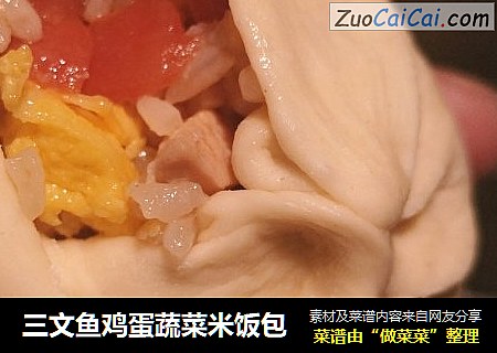 三文魚雞蛋蔬菜米飯包封面圖