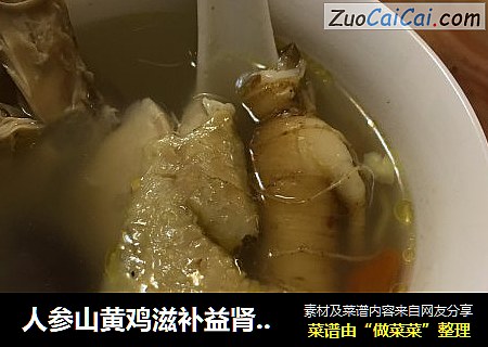 人参山黄鸡滋补益肾汤，怎么做最好吃！