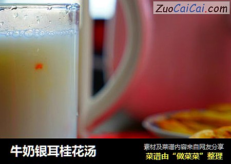 牛奶銀耳桂花湯封面圖